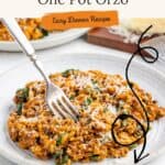 Plate of Italian sausage and orzo pasta with grated cheese, fork beside, labeled as an easy one-pot dinner.